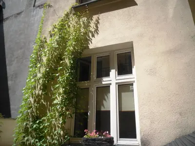 a window of a building with a plant at Apartament Berko in Kraków