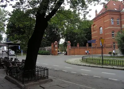 a tree in a park next to a building at Trinity Apartment in Kraków