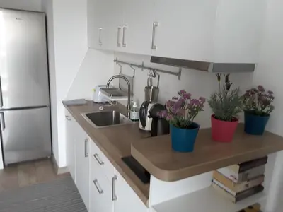 a kitchen with a sink and some plants on a counter at White Swan Apartment in Kraków