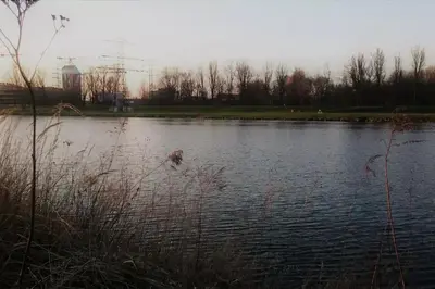 a lake with a bird in the middle of it at White Swan Apartment in Kraków