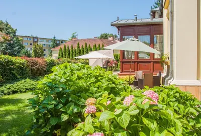a garden with pink flowers and an umbrella at U Pana Cogito in Kraków