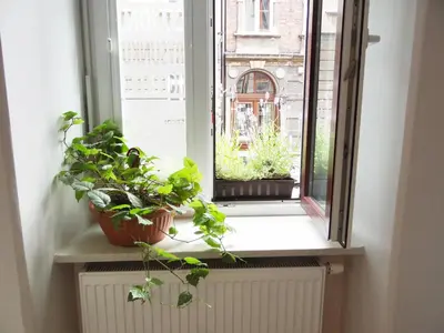 a window with potted plants sitting on a radiator at Art Apartments w centrum Krakowa (Śródmieście, Stradom) in Kraków
