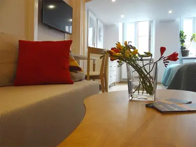 a vase of flowers sitting on a table next to a couch at Art Apartments w centrum Krakowa (Śródmieście, Stradom) in Kraków
