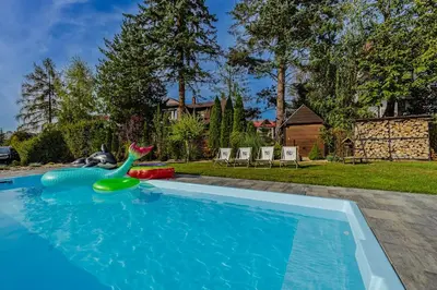 a swimming pool with a toy dinosaur in a yard at Noclegi u Nawary in Rabka