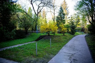 a path in a park with trees and yellow leaves at Amazing Apartment, City Centre, Modern, Elegant, Cozy in Kraków
