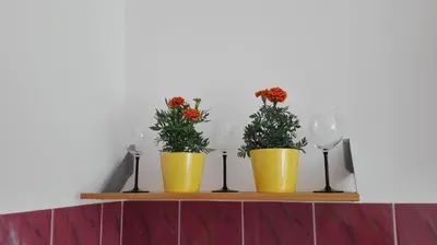 three yellow pots with flowers and wine glasses on a shelf at Studio Krakowski Styl in Kraków