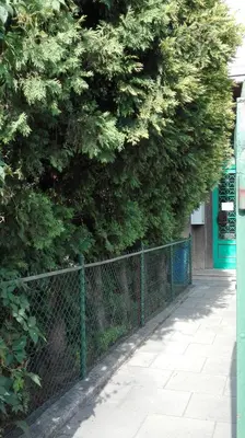 a fence in front of a tree next to a building at Studio Krakowski Styl in Kraków
