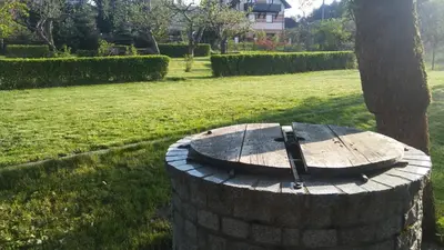 a tree stump sitting in the grass next to a tree at Pokoje Gościnne Lalaj in Bolęcin