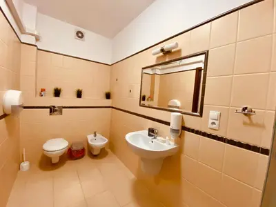 a bathroom with a sink and a toilet and a mirror at Nasz Młyn in Sufczyn