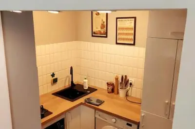 a kitchen with a counter with a sink and a refrigerator at Comfortable Apartment in Kraków