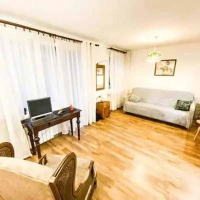 Comfortable Apartment