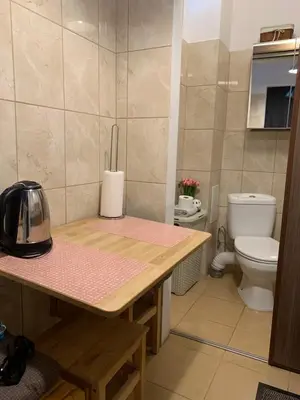 a bathroom with a counter top and a toilet at Apartament Aga1 in Oświęcim