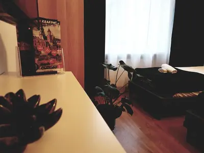 a room with a table with plants and a window at Agnieszki 1 Apartment in Kraków