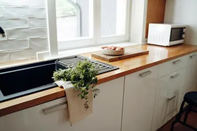 a kitchen counter with a potted plant on it at Ostoja in Rzyki