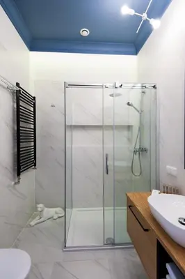 a glass shower in a bathroom with a cat laying on the floor at Bentis Luxury Apartments in Kraków