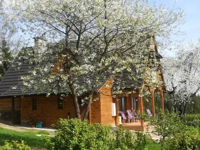 a house with a tree in front of it at Buflaczanka in Nowy Targ