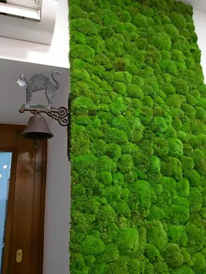 a wall covered in green moss at Apartament Starowiślna in Kraków