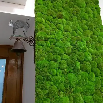 Apartament Starowiślna