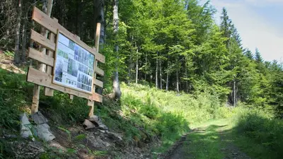 a sign on the side of a trail in the woods at Pokoje w Oberży Czarny Groń in Rzyki
