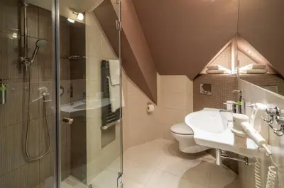 a bathroom with a shower and a toilet and a sink at Pokoje w Oberży Czarny Groń in Rzyki