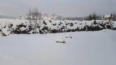 a snow covered fence with bushes and trees at Staś -przy szkole nr 3 w Skawie in Skawa