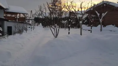 a snow covered yard with trees and buildings at Staś -przy szkole nr 3 w Skawie in Skawa