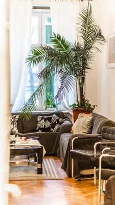 a living room with a black couch and a palm tree at Fogra Travel Apartment in Kraków