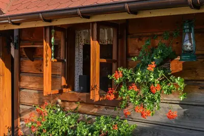 a window of a wooden house with flowers on it at Stanica Hucuł in Sułkowice