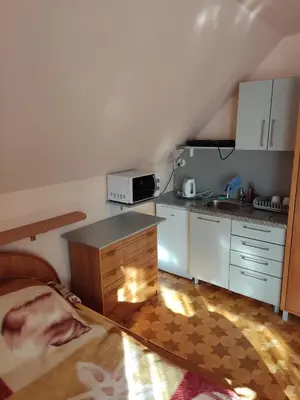a kitchen with a sink and a counter top at Podelniska in Porąbka