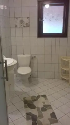 a bathroom with a toilet and a sink and a window at Agroturystyka SKALNE in Szczawa