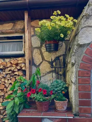 a window with two potted flowers on a wall at Studio Roxi in Bachowice