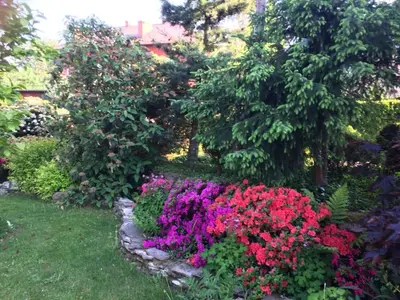 a garden with colorful flowers in the grass at Studio Roxi in Bachowice