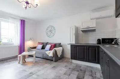 a kitchen and a living room with a couch at Lu Apartments in Oświęcim