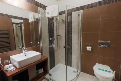 a bathroom with a shower and a sink and a toilet at Hotel Górski Raj in Koninki