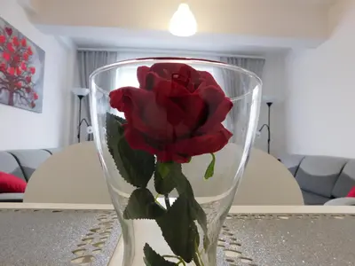 a red rose in a glass vase on a table at Apartamenty Niko in Zator