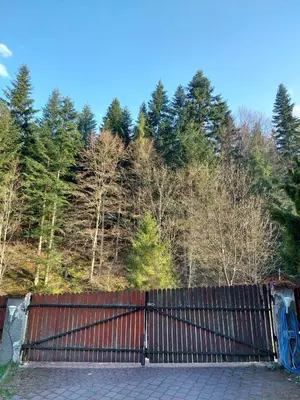 a gate in front of a fence with trees at Rodzinny Dom Wypoczynkowy Grzechynia Carchla in Grzechynia