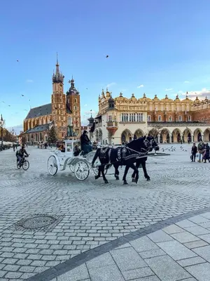 a horse drawn carriage in front of a building at Apartment Sare 11 in Kraków