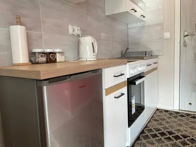 a kitchen with a counter and a dishwasher at Country Rooms in Bachowice