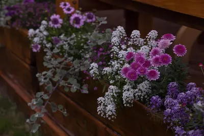 a bunch of purple and white flowers on a wall at Pensjonat Zacisze in Czchów