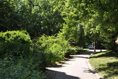 a path through a park with trees and bushes at Aquapark by JoApart - with underground garage box in Kraków
