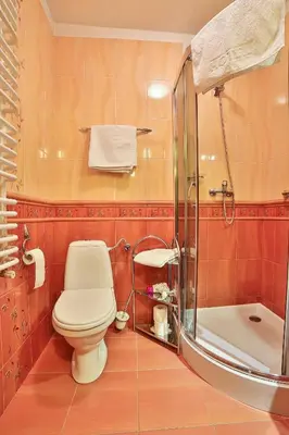 a bathroom with a toilet and a shower at Hotel Wiosna in Rabka