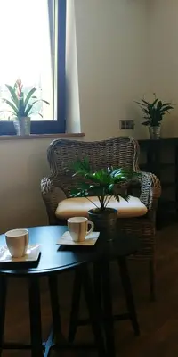 a wicker chair and a table with two cups at Przy Dolinie in Paczółtowice