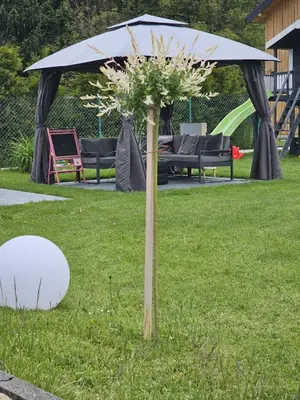 a tree in the grass in a yard with a tent at Apartament Komfort przy Parku Zdrojowym in Rabka