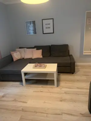 a living room with a couch and a coffee table at Apartament Antek klimatyzowany in Oświęcim