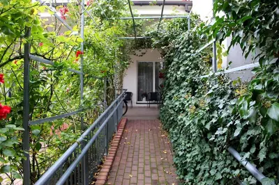 a walkway in a greenhouse with plants and flowers at Hotel Zabawa in Zabawa