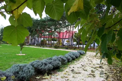 a row of bushes in a park with a house in the background at Hotel Zabawa in Zabawa