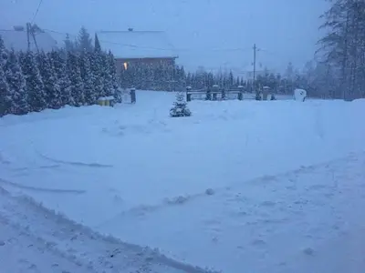 a yard covered in snow with trees in the background at Silver Residence in Rabka