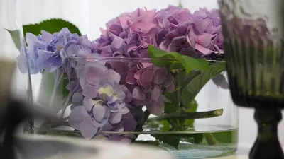 a glass vase filled with purple flowers on a table at Nico Apartments in Kraków
