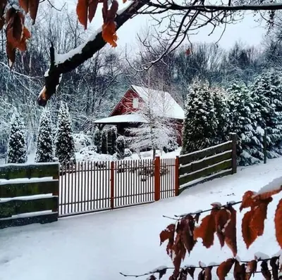 a house with a fence covered in snow at Bacówka na Leśnej in Po”łwieś