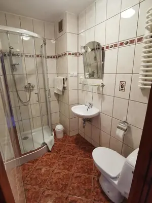 a bathroom with a shower and a toilet and a sink at Dom pod Tujami in Kraków